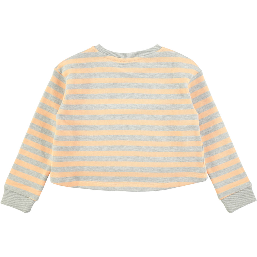 Molo Tropical Stripe Marci Cropped Sweatshirt