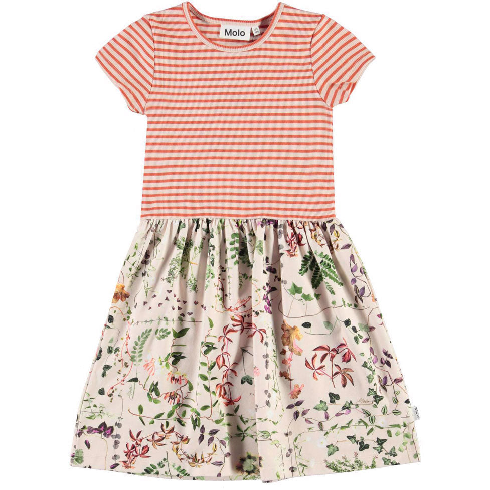 Molo Herbarium Cissa Dress
