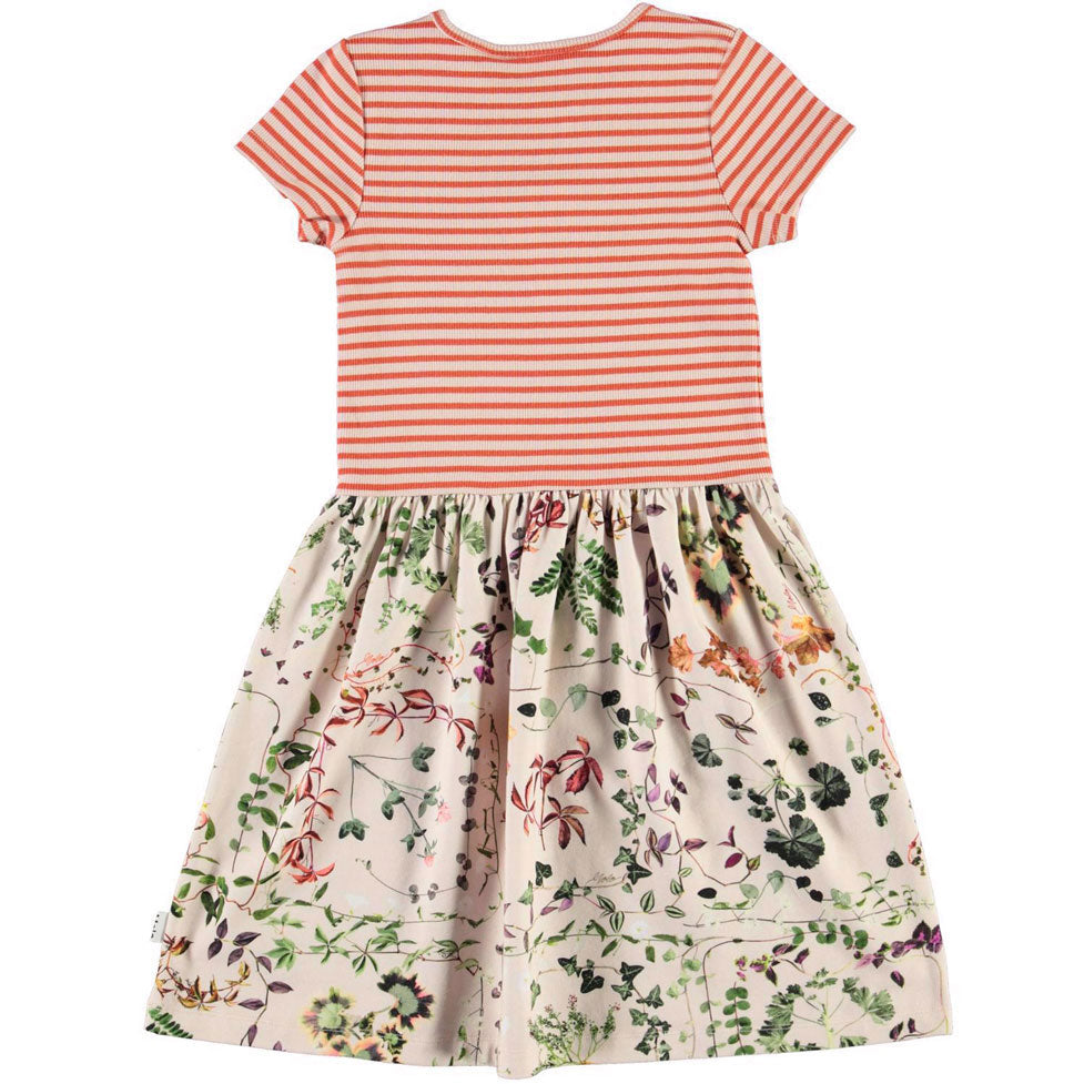 Molo Herbarium Cissa Dress