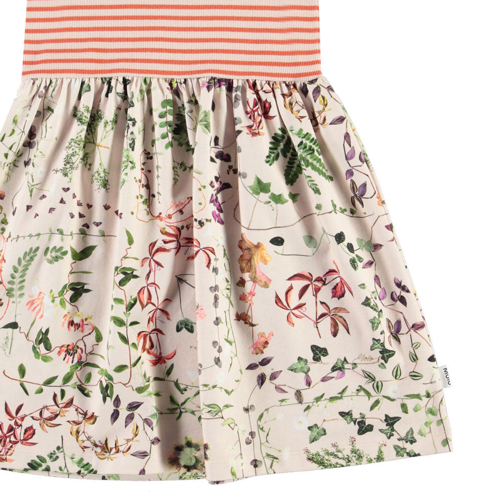 Molo Herbarium Cissa Dress