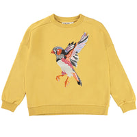 Molo Straw Field Mandy Sweatshirts