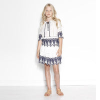 Marlo Blazing Embroidered Skirt