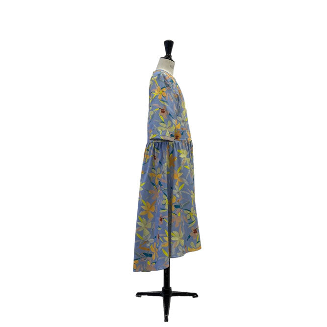 Lemoniez Floral Print Fit and Flare Pradera Dress