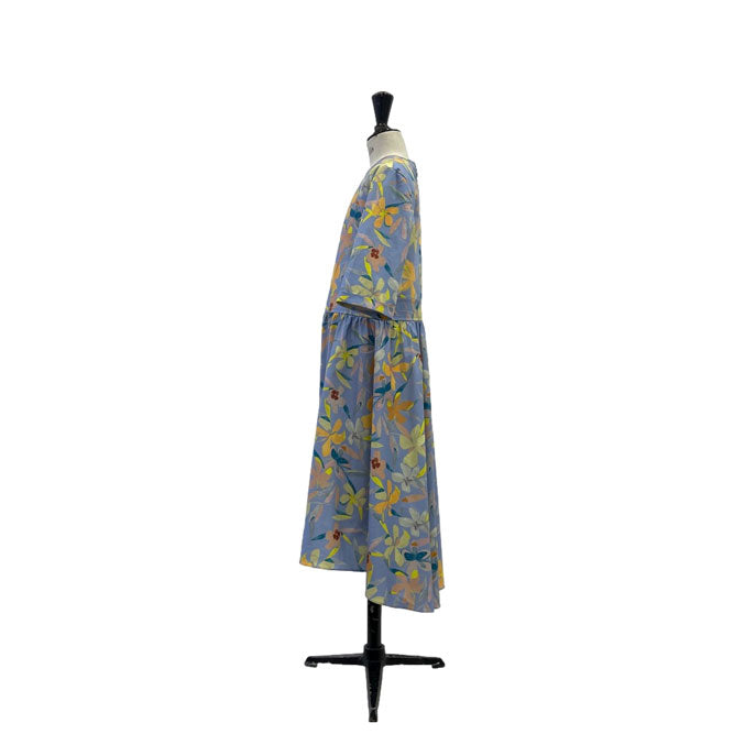 Lemoniez Floral Print Fit and Flare Pradera Dress