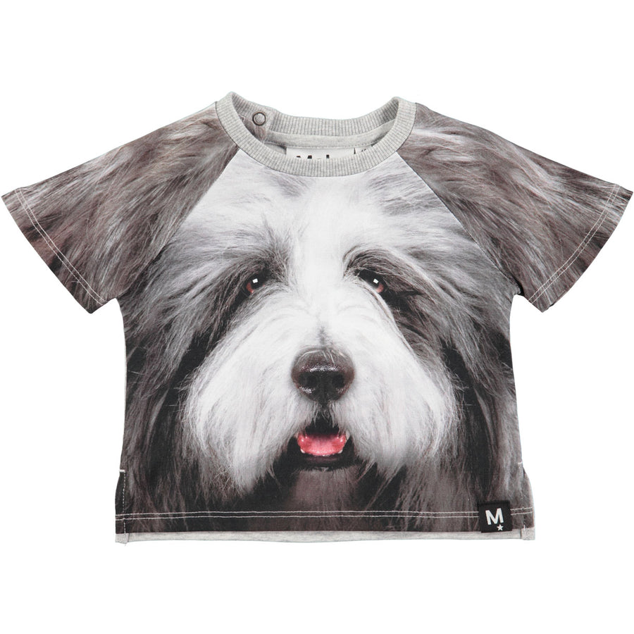 Molo Hairy Dog Baby Tee