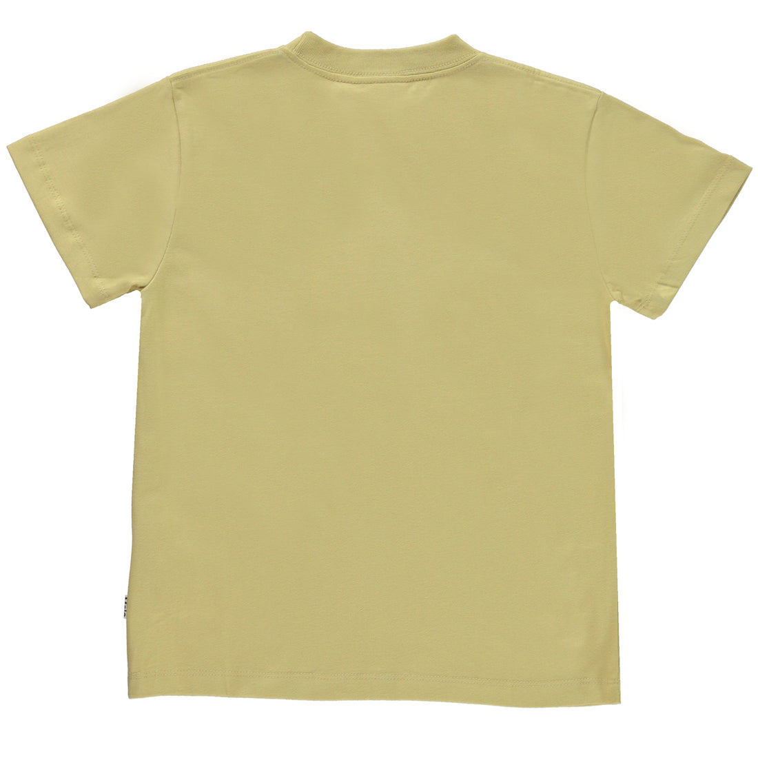 Molo Cardboard Roxo Short Sleeves Tee
