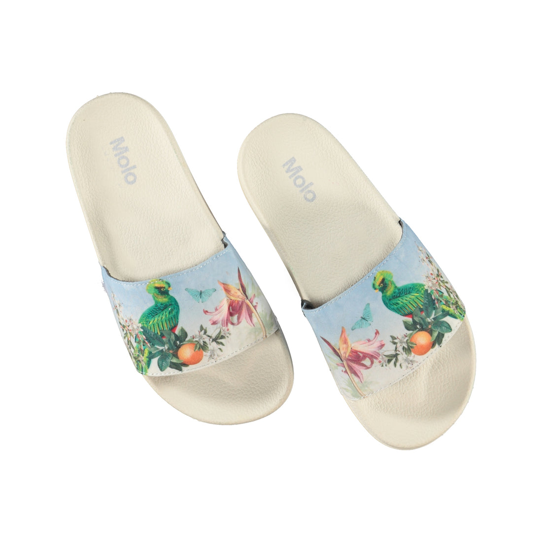 Molo Paradise Bird Zhappy Slides