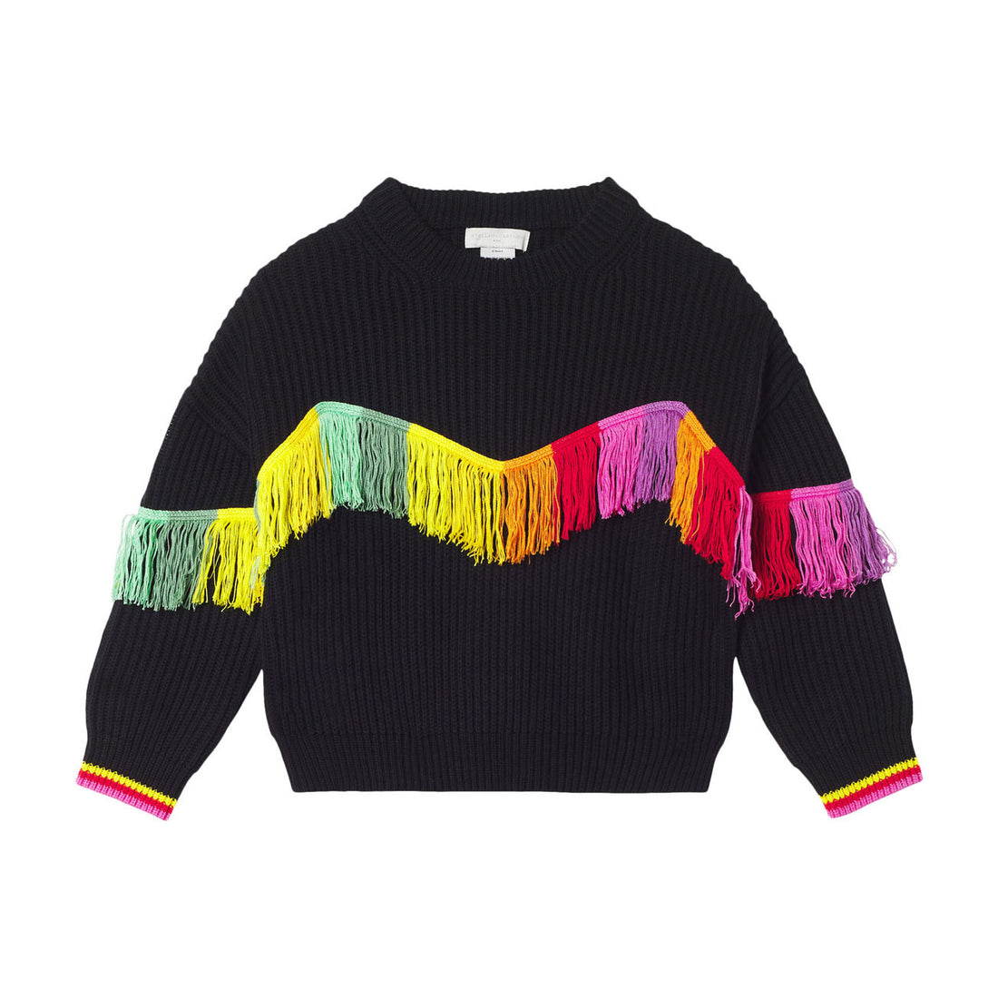 Stella McCartney Sweater With Fringes