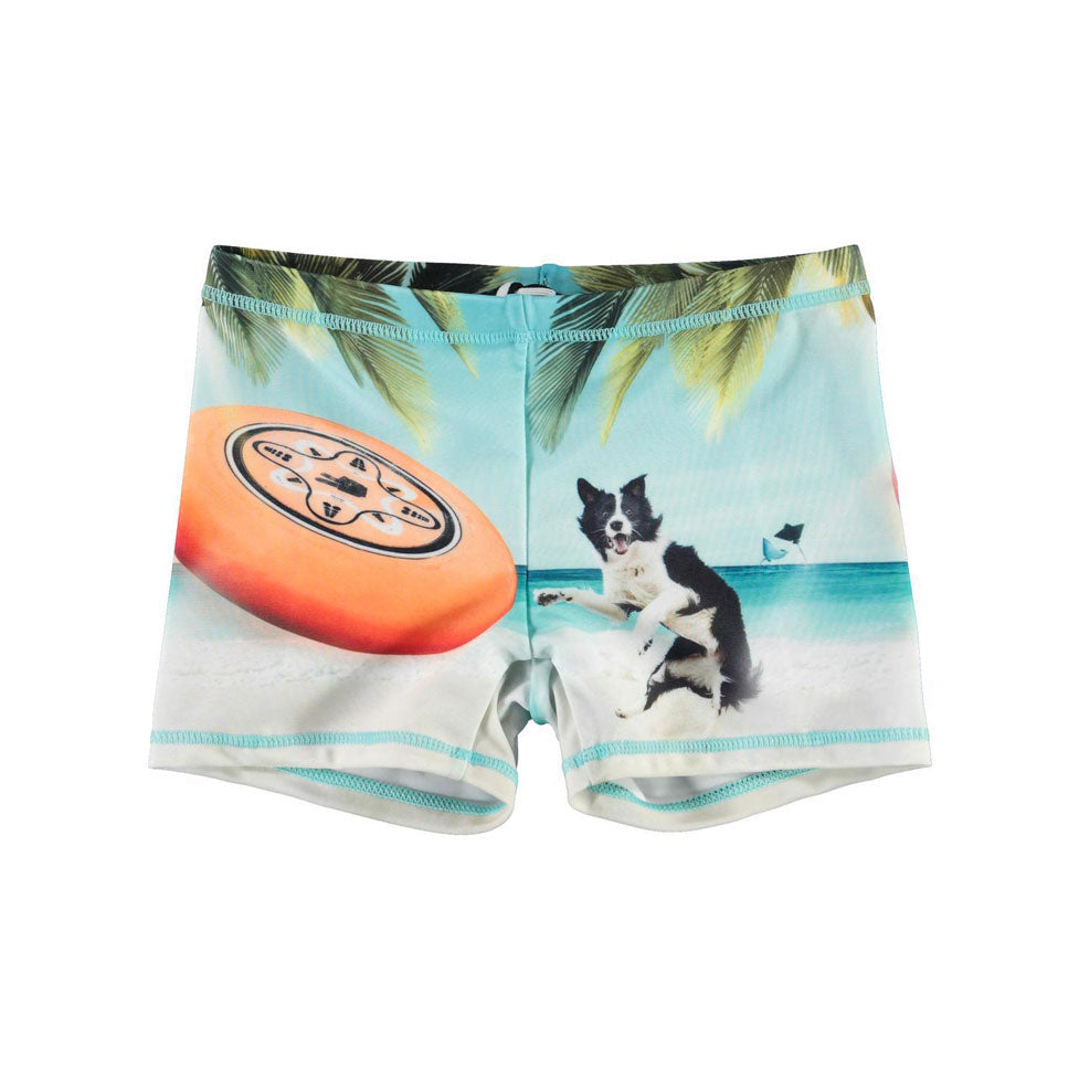 Molo Frisbee Norton Placed Swim Trunks