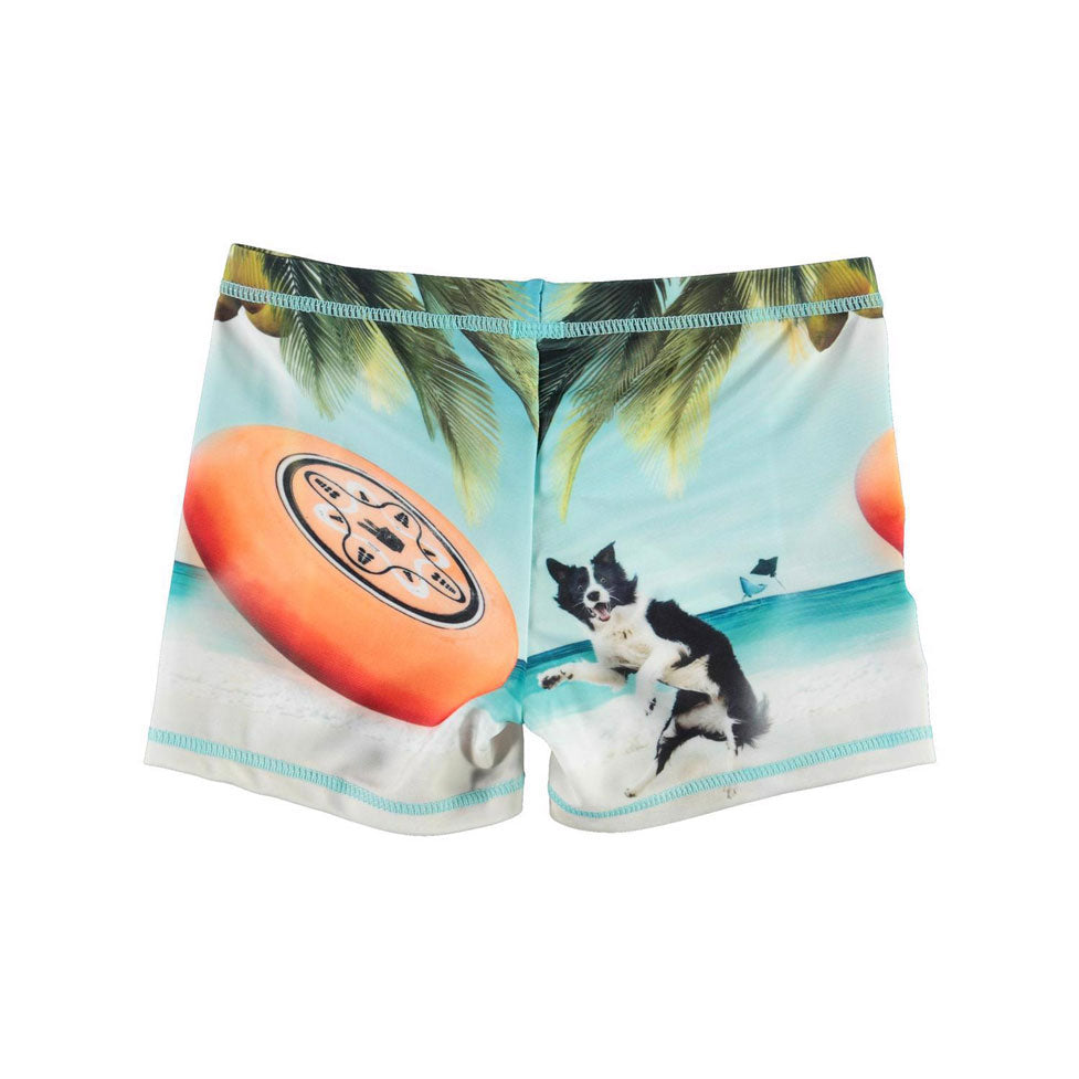 Molo Frisbee Norton Placed Swim Trunks
