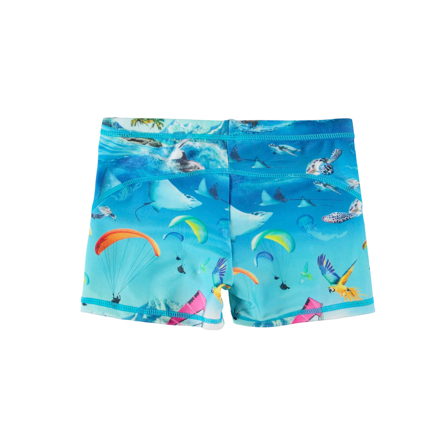 Molo Passion For Motion Norton Trunks