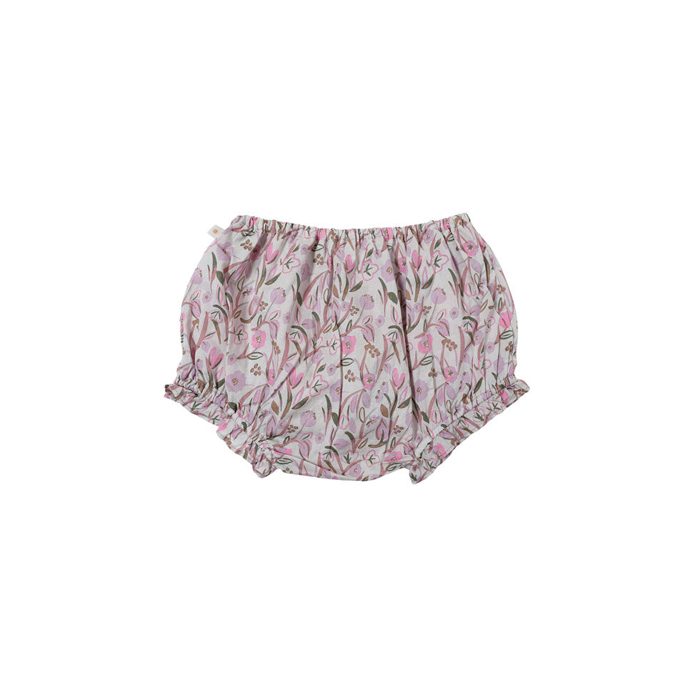 Bene Bene  Lavender Lycoris Bloomers