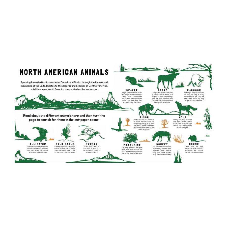 Chronicle Books Animal Camouflage