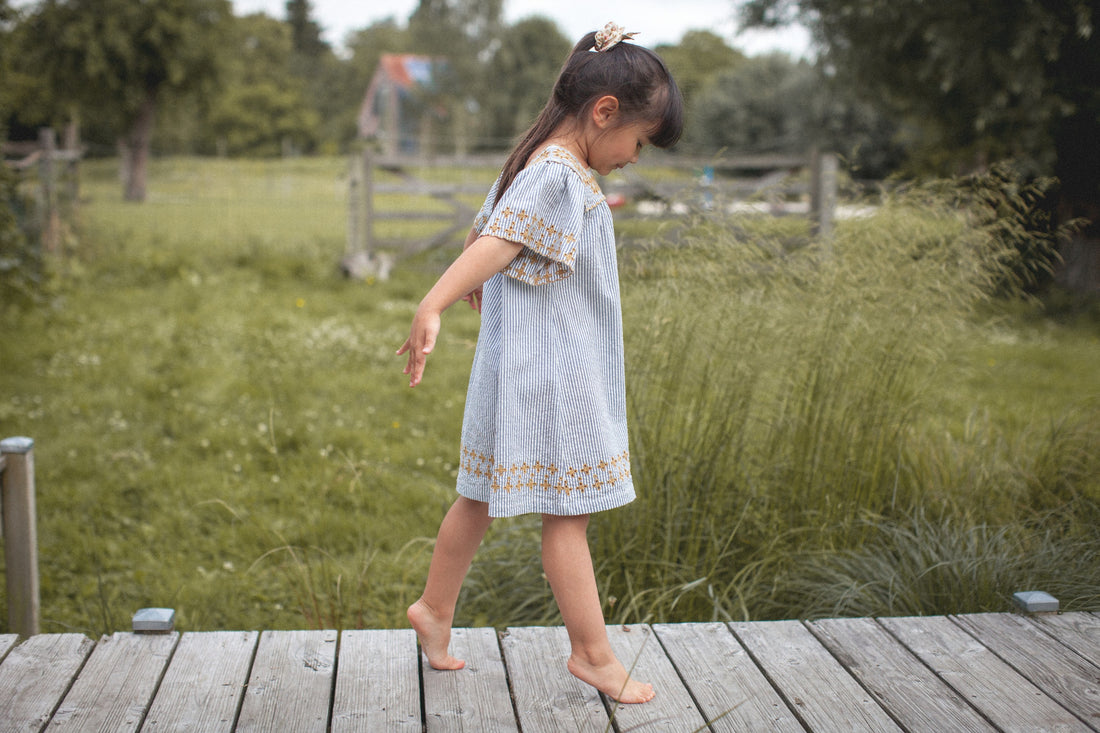 Bonheur du Jour Blue Stripes Amandine Dress