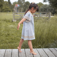Bonheur du Jour Blue Stripes Amandine Dress