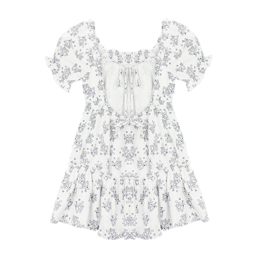 The New Society  Roses Print Atenea Dress