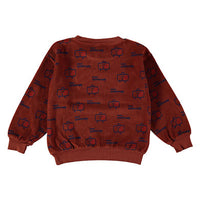 Bonmot Terracotta Velvet Veterinary Sweatshirt