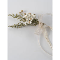 Louisiella Rene Hair pin