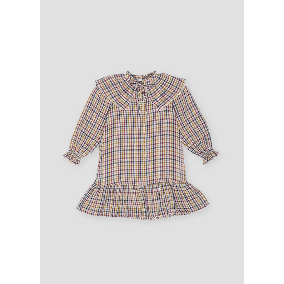 The New Society Multicolor Check Benerice Dress
