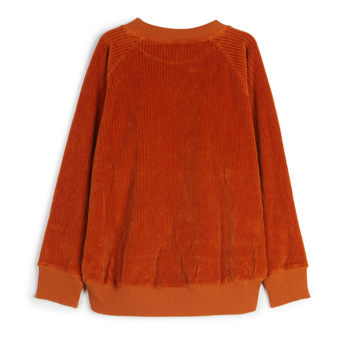 Wolf and Rita Sunshine Bernardo Sweatshirt