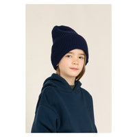 Finger in the Nose Brandon Navy Wool Beanie
