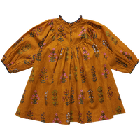 Pink Chicken Brayden Dress - Gold Field Floral