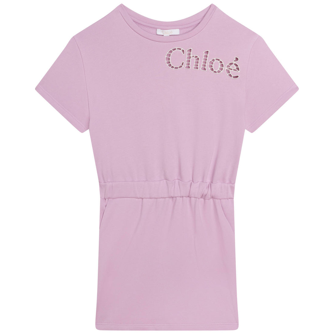 Chloe Mauve Fleece Waisted Dress