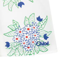 Chloe Blue/Green Floral Silk Skirt