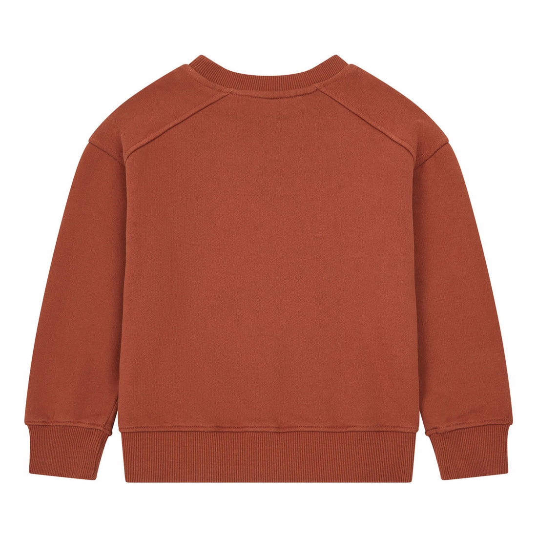 Hundred Pieces Rust Organic Cotton Youth Sweatshirt