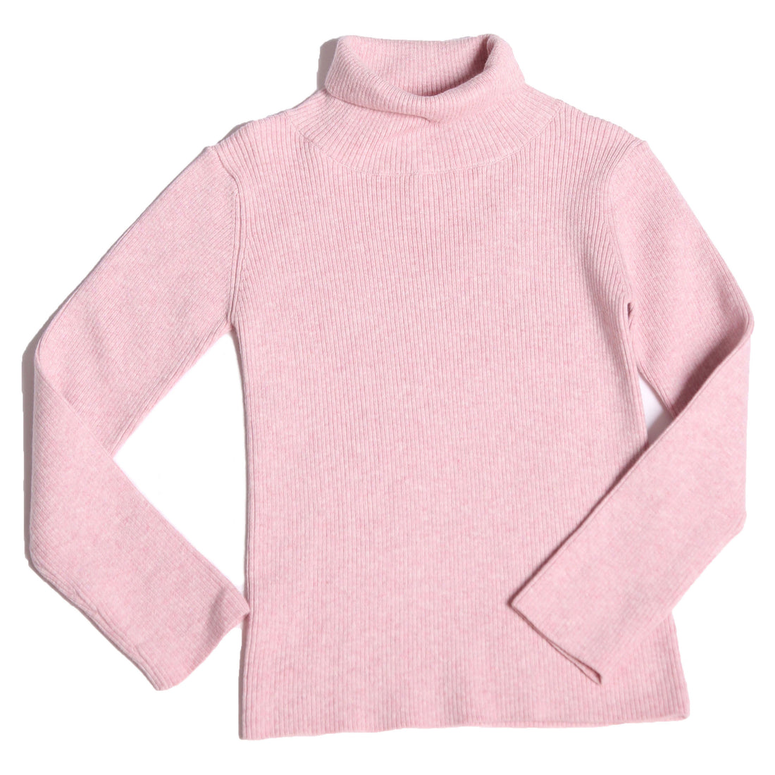 Tia Cibani Dust Slim Fit Ribbed Turtleneck