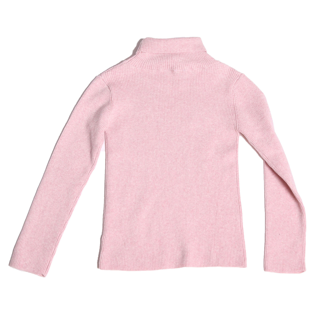 Tia Cibani Dust Slim Fit Ribbed Turtleneck
