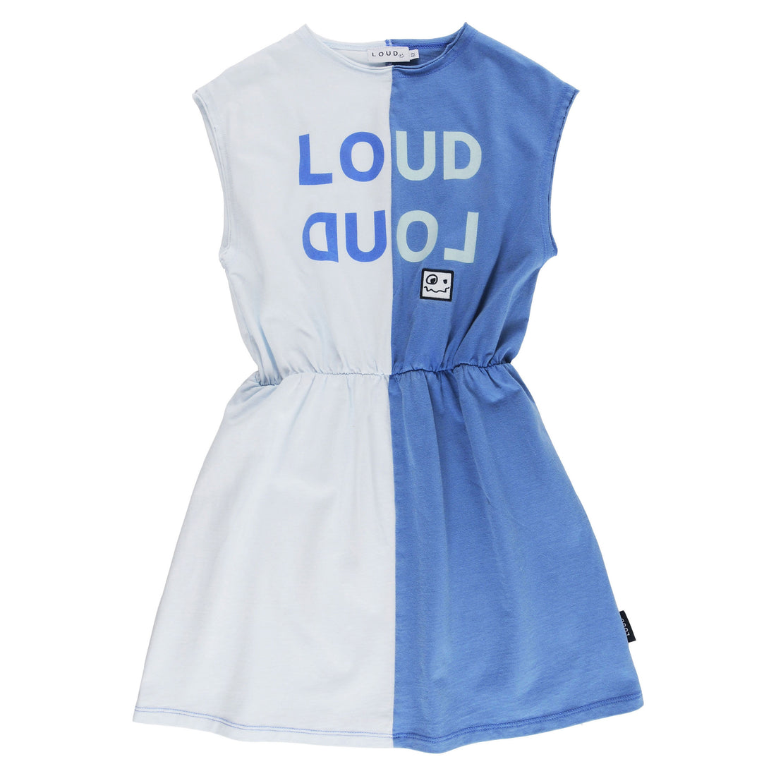 Loud Blue Pastel 2 Tone Dress