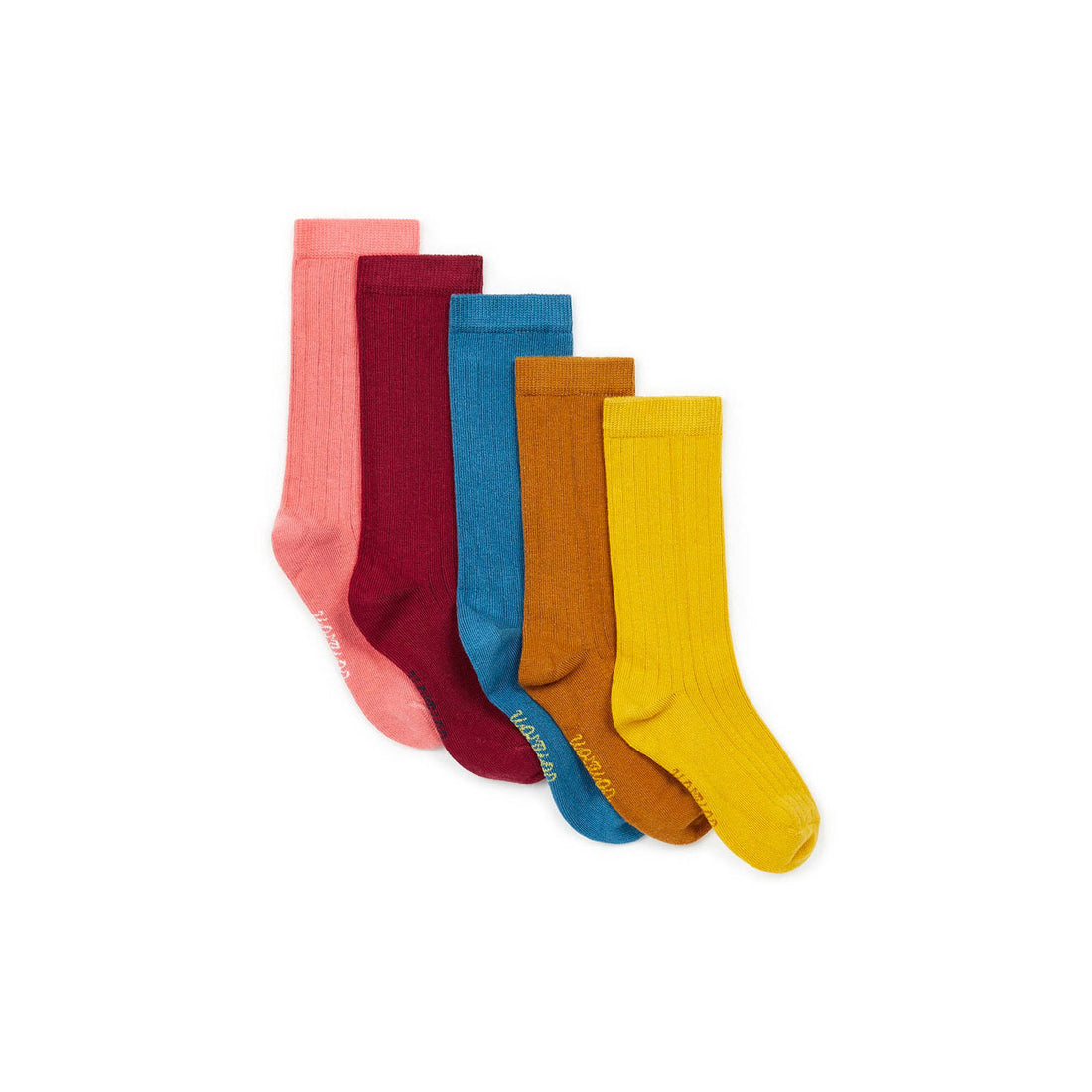 Bonton Set Of 5 Boy Socks