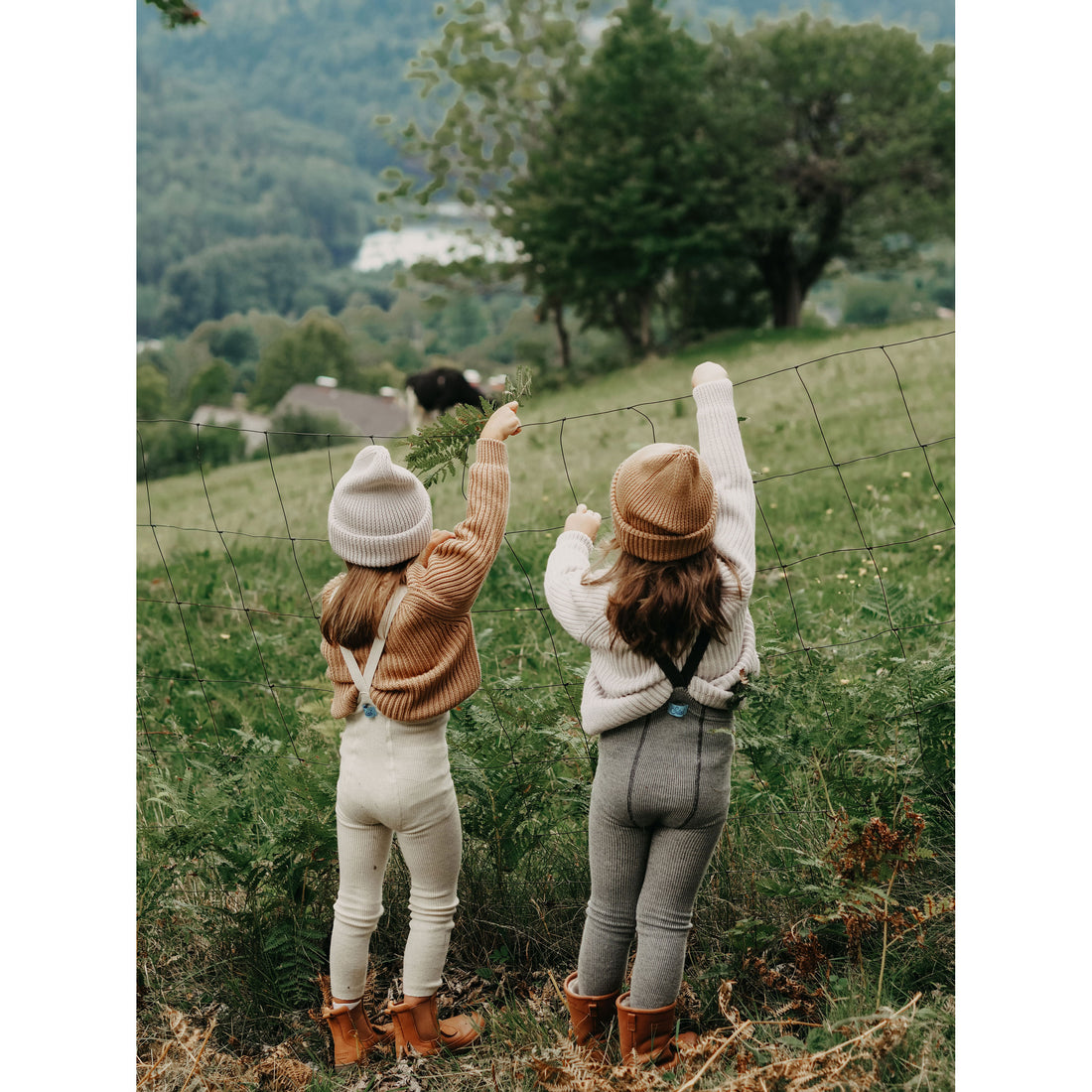 Silly Silas Cream Blend Wooly Footless Wool Tights