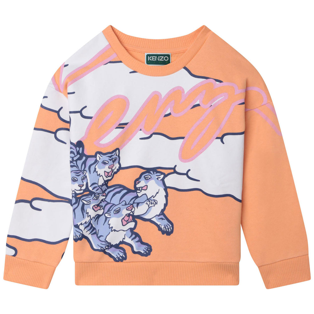 Kenzo Coral Printed Sweatshirt