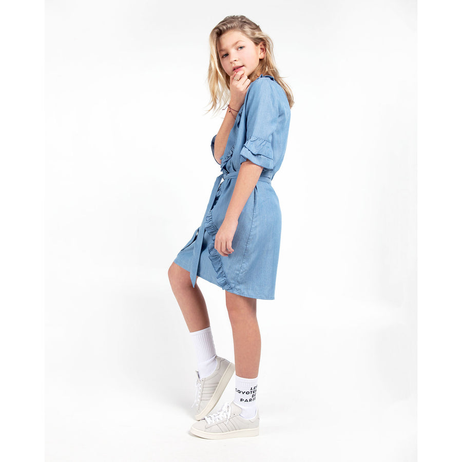 Les Coyotes De Paris Chambray Odina Ruffle Dress