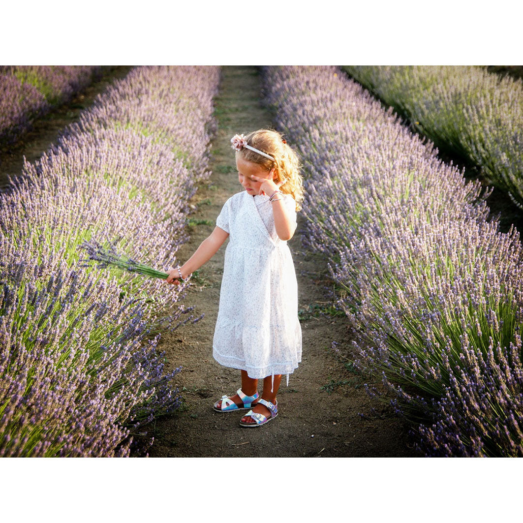 Little Eyelet Voile Rita Dress