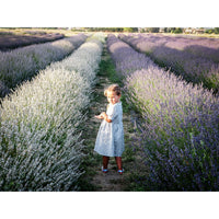 Little Eyelet Prato Eye Dress