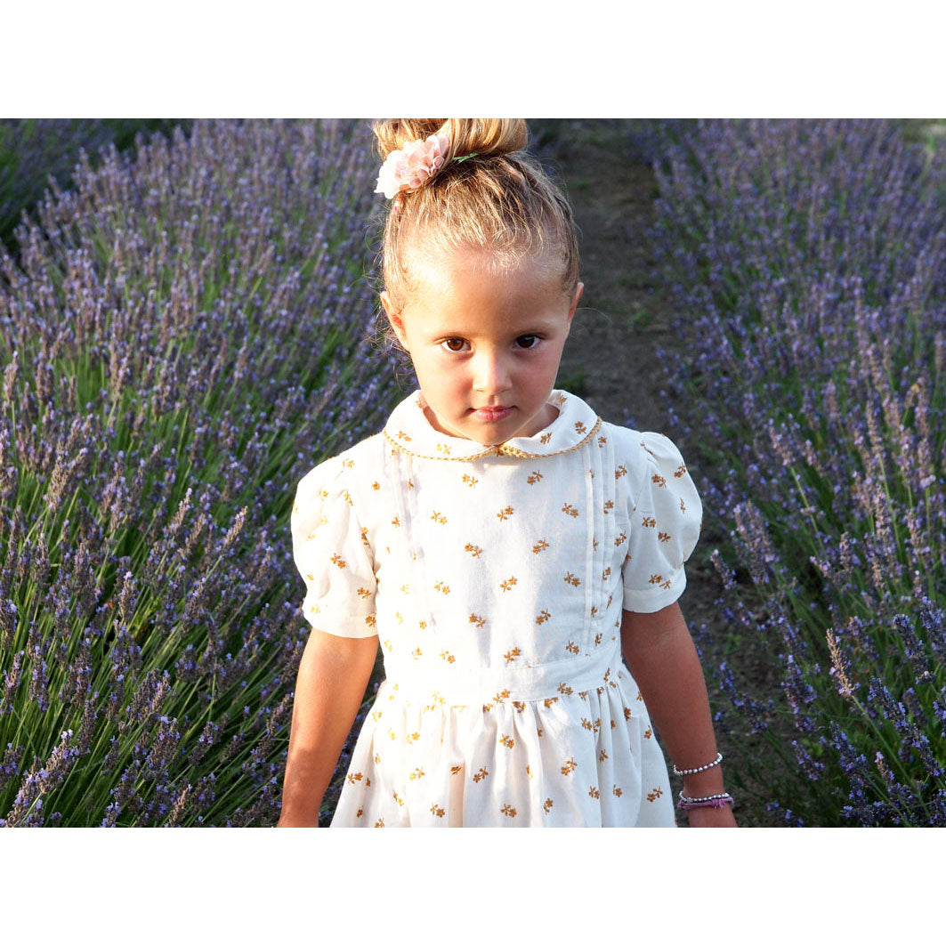 Little Eyelet Rust Eye Dress