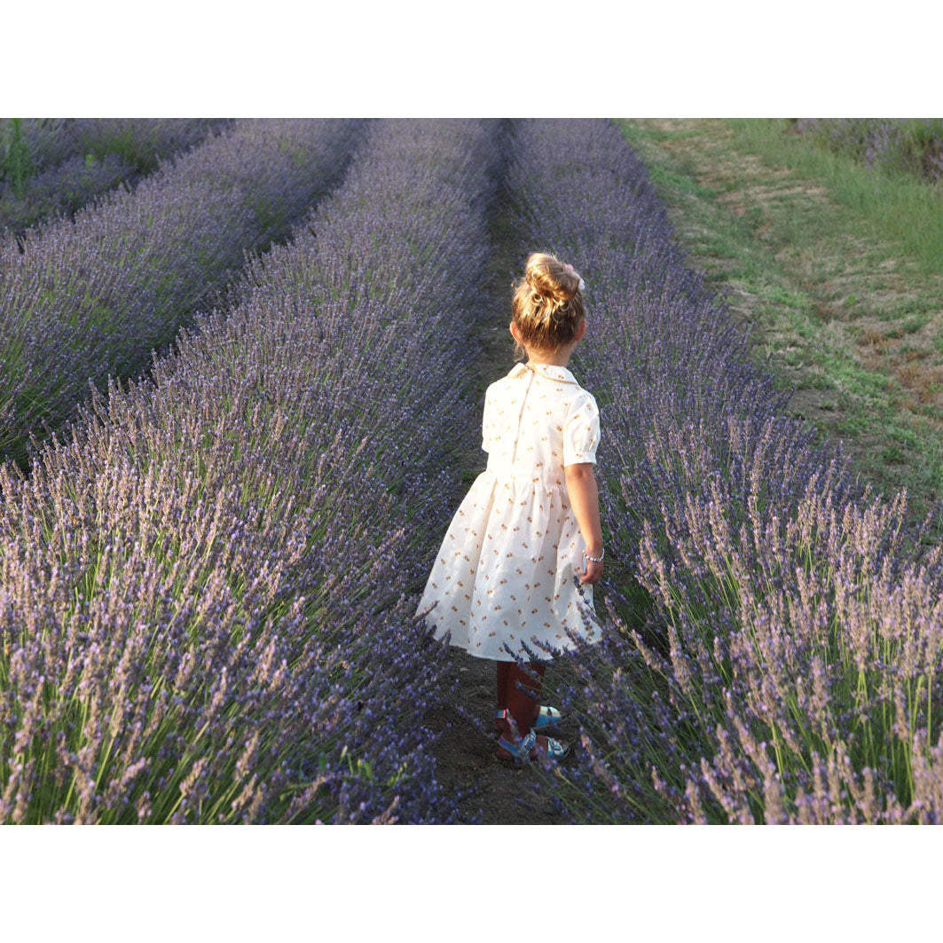 Little Eyelet Rust Eye Dress