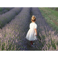 Little Eyelet Rust Eye Dress