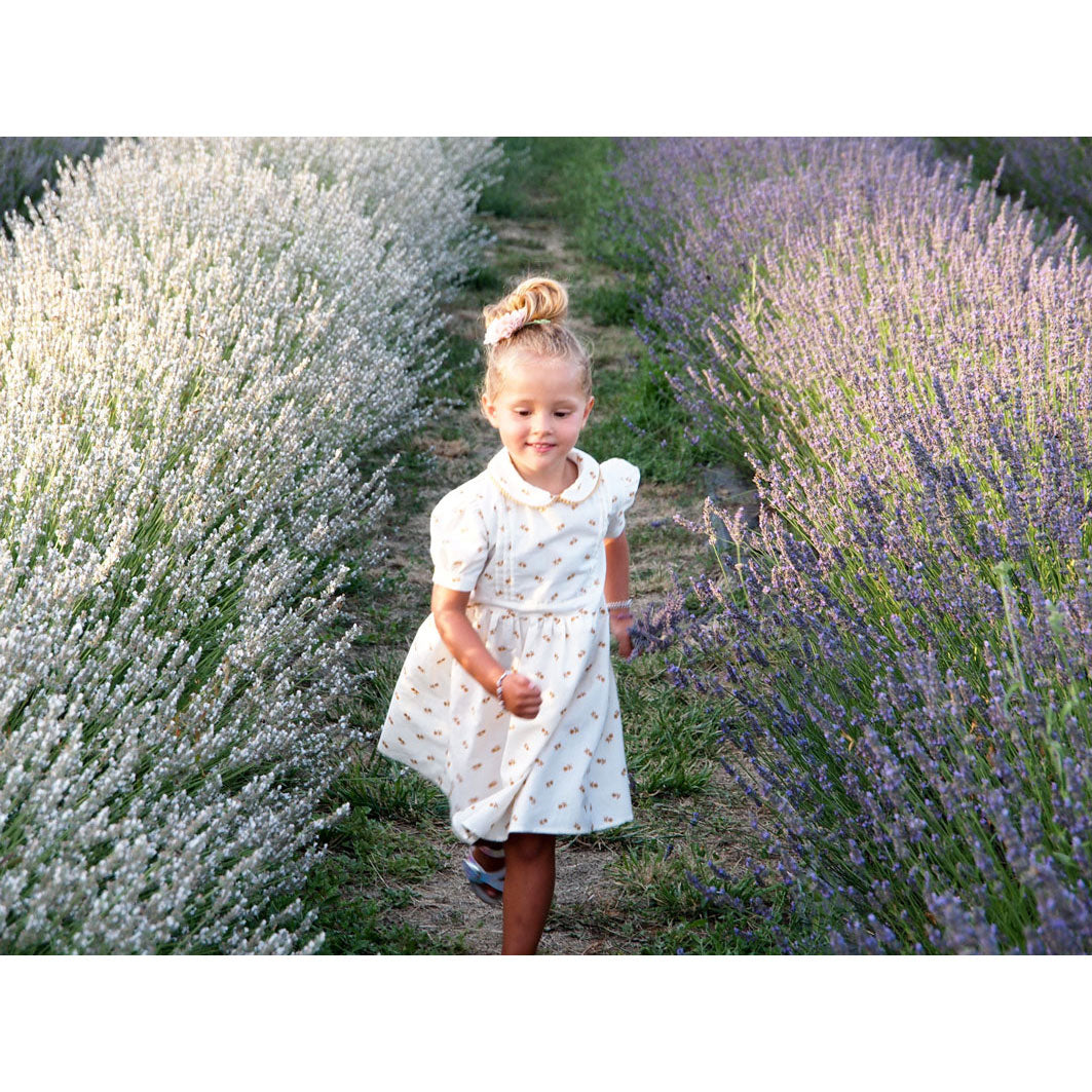 Little Eyelet Rust Eye Dress