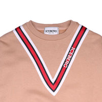 Iceberg Toffee V Crop Sweatshirt