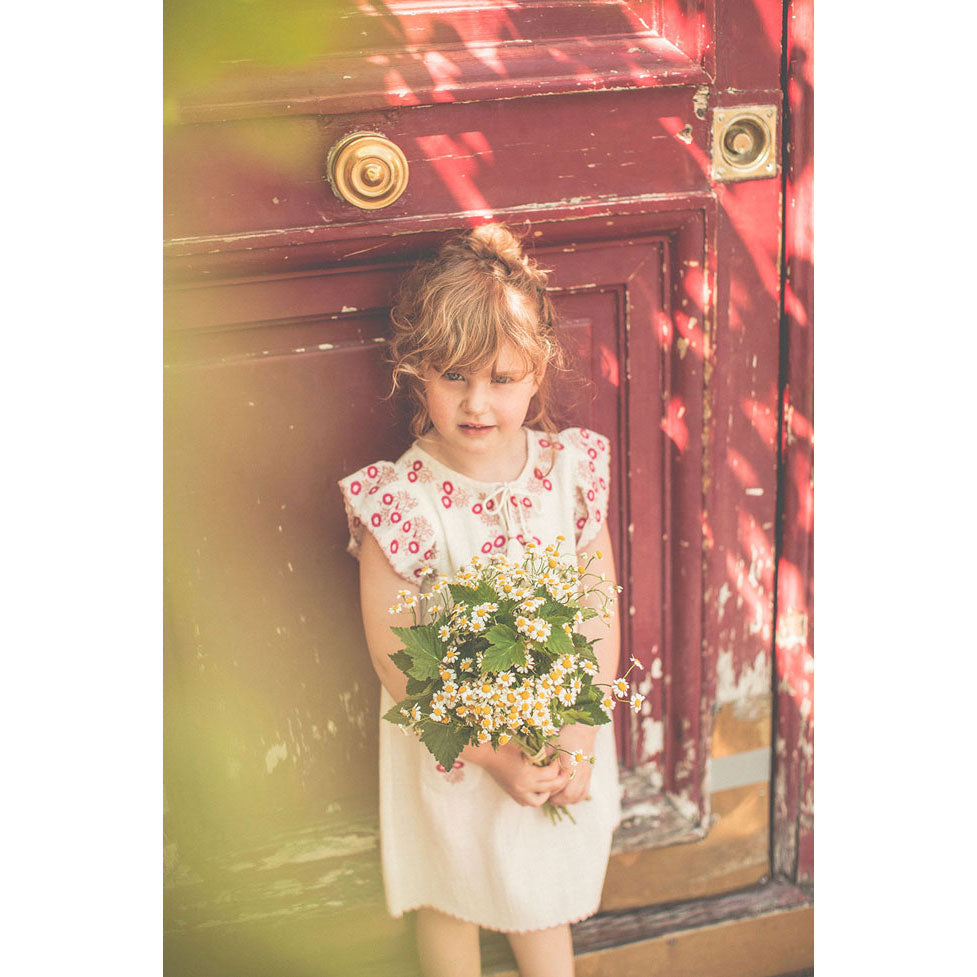 Louis Louise Vanilla Embroidered Anne Dress