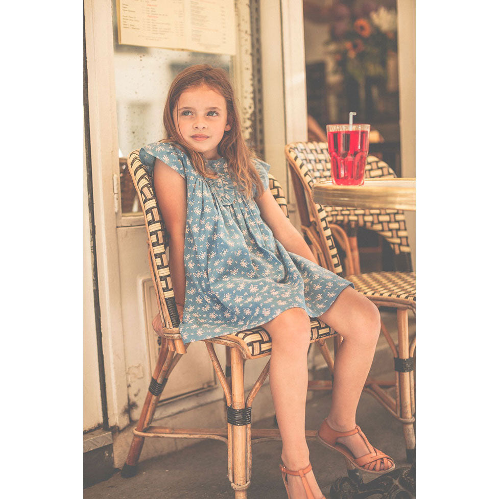 Louis Louise Blue Romantic Flowers Glady Dress