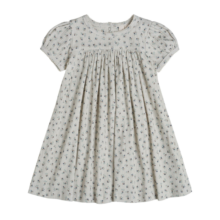 Little Cotton Clothes  Tiny Floral Organic Pointelle Maya Dress