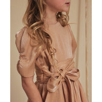 Noralee Joesephine Dress | Metallic Apricot