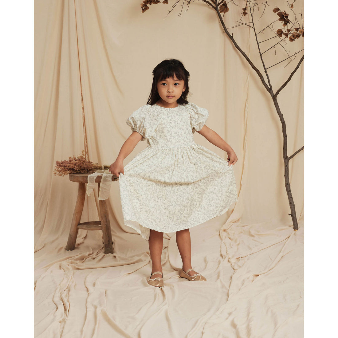 Noralee Chloe Dress | French Toile