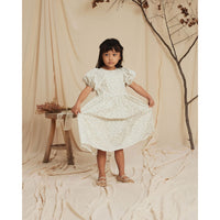 Noralee Chloe Dress | French Toile