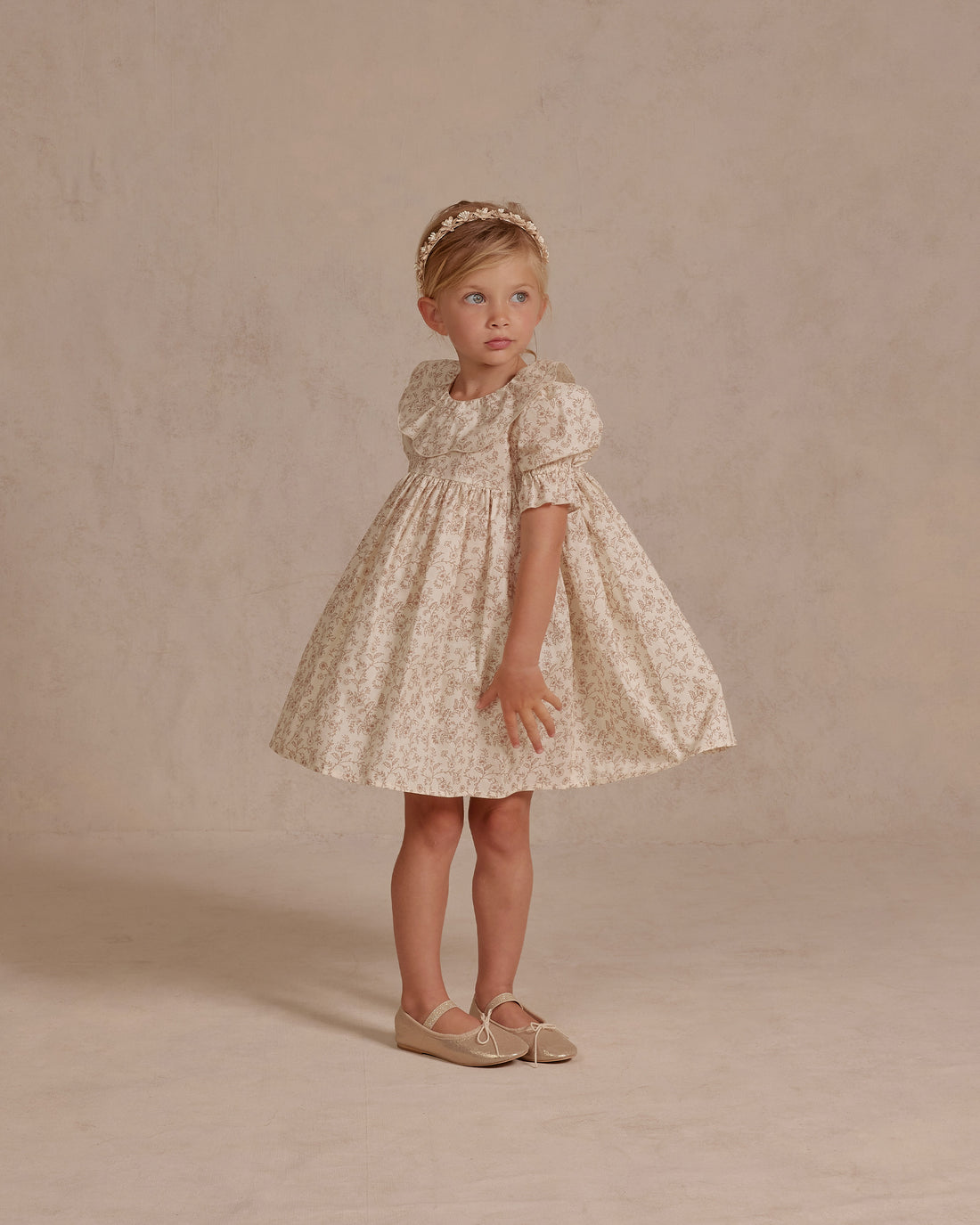 Noralee Cafe Toile Joannie Dress